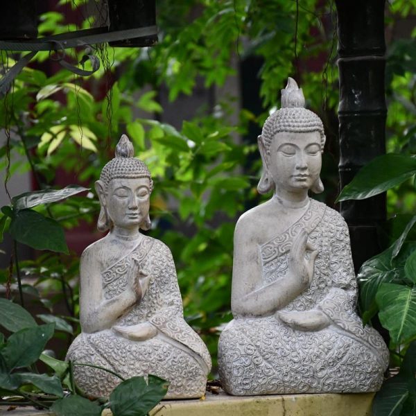 Buddha statue  Zen garden BW1901