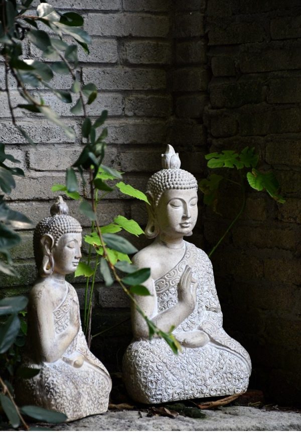 Buddha statue  Zen garden BW1901